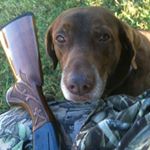 Profile Picture of Jeff Heep (@jeffheep) on Instagram