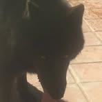 Profile Picture of Lisa Cohen (@lisa.cohen.96592836) on Facebook