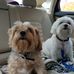 Profile Picture of Nancy Glavin (@nancy.glavin.92) on Facebook
