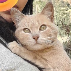 Profile Picture of Kelly Huerta (@kelly.huerta33) on Tiktok