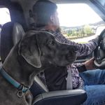 Profile Picture of John Patterson (@kodiakadventures) on Instagram