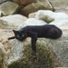 Profile Picture of Hangs Pang (@hangspang) on Pinterest