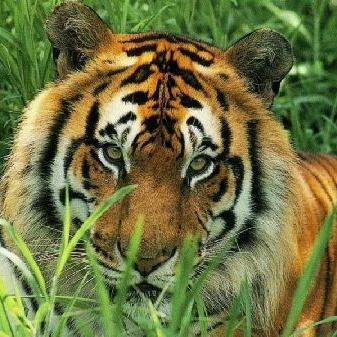 Profile Picture of Mike Venne (@Mike_Venne) on Twitter