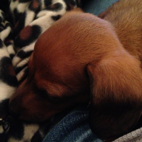 Heidi Kinsey - Poshmark Profile Picture of Heidi Kinsey (@hkinz) on Poshmark