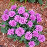 Profile Picture of jim sr. bontrager (@jimsr.bontrager) on Instagram