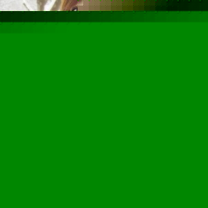 Profile Picture of Green Di (@green_di) on Myspace