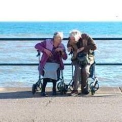 Profile Picture of Sharon Bates (@wlswoman) on Twitter