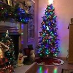 Profile Picture of Mindy Weber Overdorf (@mindyweberoverdorf) on Instagram