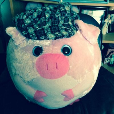 Profile Picture of Tamara McCarron (@tamareh) on Twitter