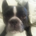 Profile Picture of Joanne Ciccarelli (@joanne.ciccarelli.9) on Facebook