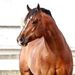 Profile Picture of Paige Quarterman (@paigequarterman) on Instagram