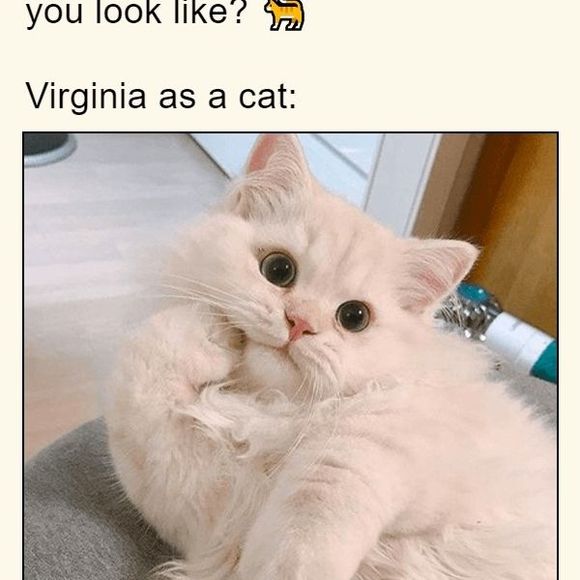 Profile Picture of Virginia Andrews (@ginnia34) on Poshmark