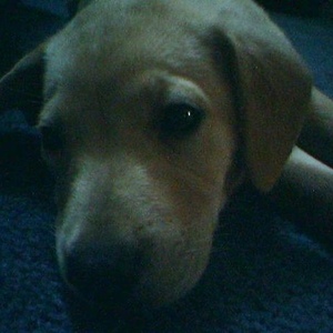 Profile Picture of Kendall (@huggles32812) on Myspace