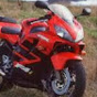 Profile Picture of RONALD SCHNEIDER (@@MsBIKERRONI) on Tiktok