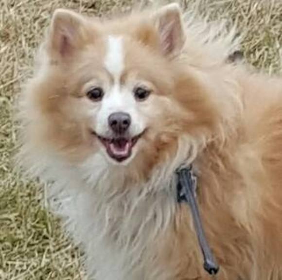 Profile Picture of Marcelina Kurgan (@marcelka82) on Poshmark