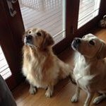 Profile Picture of Mark Coon (@markcoon2666) on Instagram