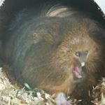 Profile Picture of Matthew Liddle (@liddlematthew) on Instagram