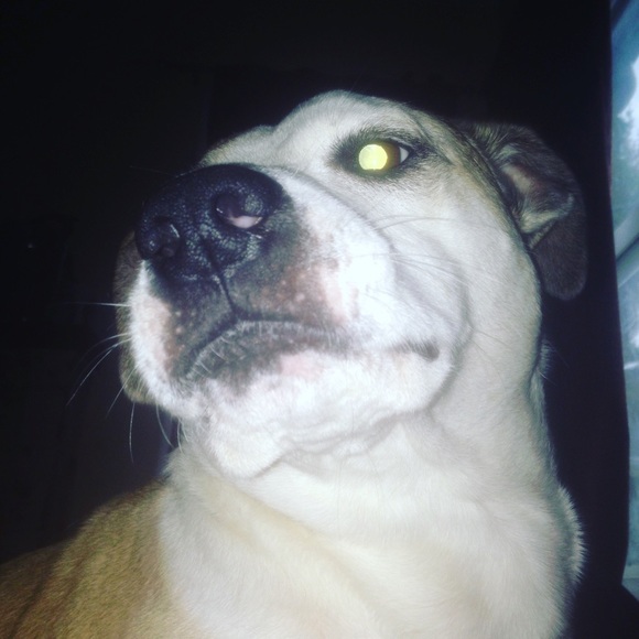 Profile Picture of Brad Rowe (@radbrowe) on Poshmark