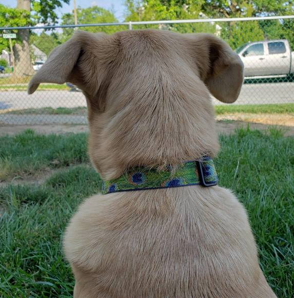 Profile Picture of Mikie Mcginnes (@mikiemcginnes) on Poshmark