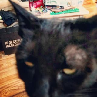 Profile Picture of #$Patrick Dennison#$ (@dennisonpatrick) on Instagram