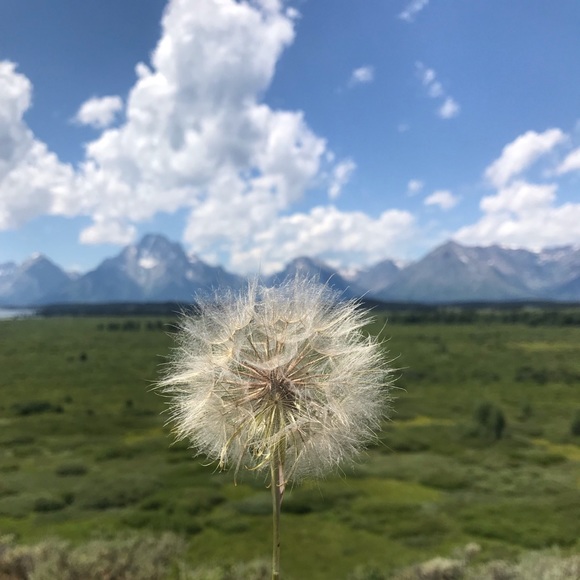 Profile Picture of Gary Galko (@galko) on Poshmark