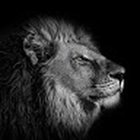 Profile Picture of Luis Alicea (@luis-alicea-51) on Quora