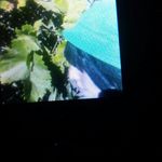 Profile Picture of Andrea Aguayo (@andreaaguayo827) on Instagram