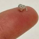 Profile Picture of Eugene Hertz (@eugene.hertz.50) on Facebook