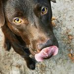 Profile Picture of Dr_JimmySchmidt (@dr_jimmyschmidt) on Instagram