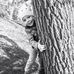 Profile Picture of Andy Weyrauch (@andy.weyrauch.3) on Facebook
