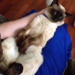 Profile Picture of Jason Visser (@blitzn4me2000) on Instagram
