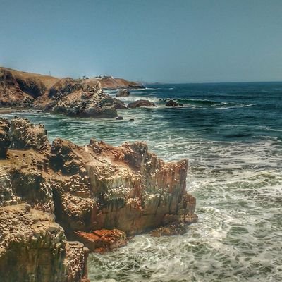 Profile Picture of DAVID (vinci) (@vincigz) on Twitter