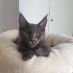 Profile Picture of Kleopatra Vanduser (@kleopatravanduser) on Instagram