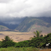 Profile Picture of Nick Michaels (@nickhardship) on Youtube