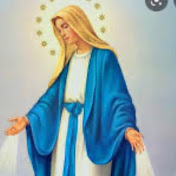 Profile Picture of T Bee  (@tbeeinthestreet) on Youtube