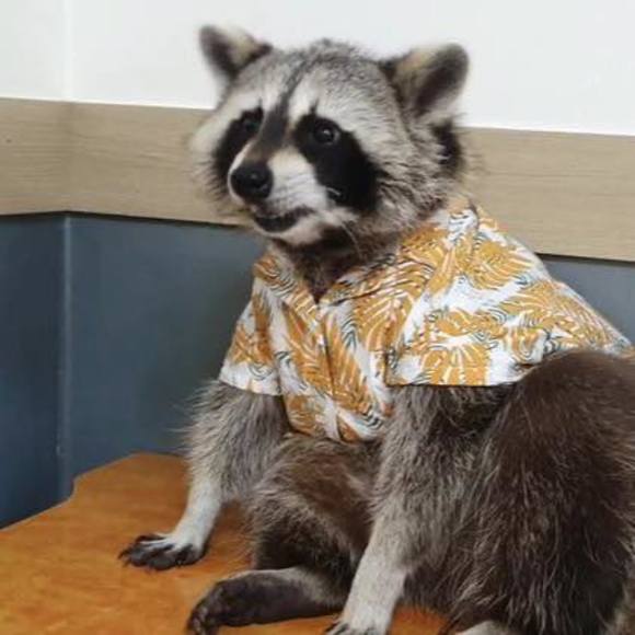 Profile Picture of Elisabeth Lieberum (@e_lieberum) on Poshmark