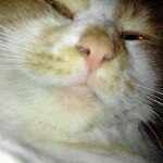 Jeremy - Instagram Profile Picture of Jeremy (@jeremy_fn_duenas) on Instagram