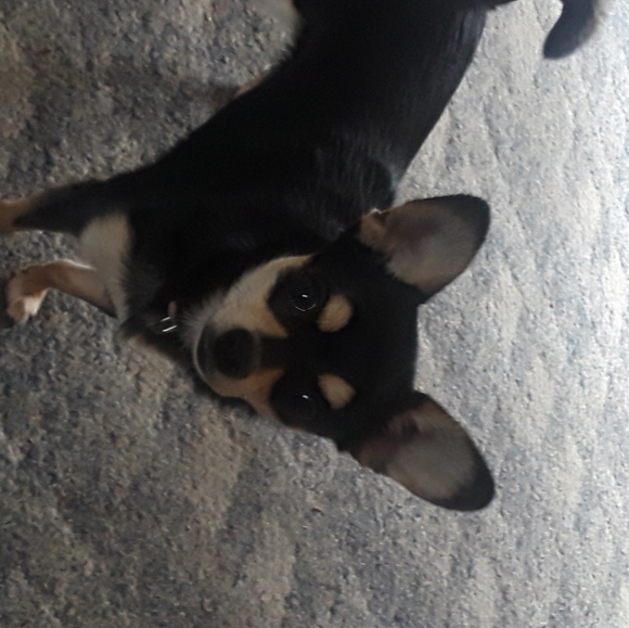 Profile Picture of Candase Mccullin (@axleymarie68) on Poshmark