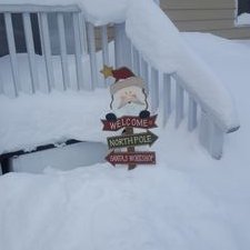 Profile Picture of Charlene Hansen (@CharleneHansen2) on Twitter