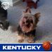 Profile Picture of Bobbie Mitchell (@bobbie.mitchell.73) on Facebook