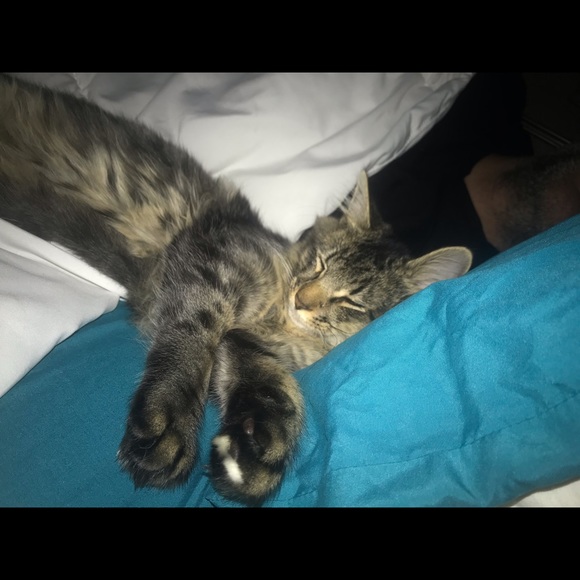 Profile Picture of Rose Mourad (@rubyblu77) on Poshmark