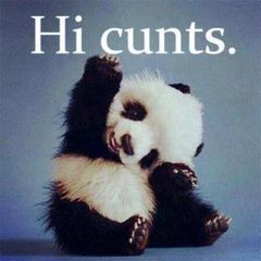 Peter Straker - Tiktok Profile Picture of Peter Straker (@intomynan) on Tiktok