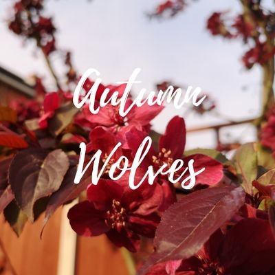 Autumn Wolves - Twitter Profile Picture of Autumn Wolves (@WolvesAutumn) on Twitter