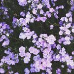 Profile Picture of Katelyn Carter (@katelyncarterr) on Instagram