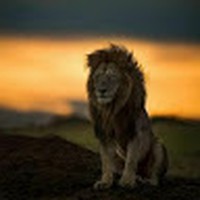 Scott Pascoe - Quora Profile Picture of Scott Pascoe (@scott-pascoe-6) on Quora