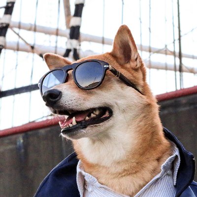 Profile Picture of Yannick Weiss (@yene) on Twitter