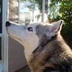 Profile Picture of kyler quinlan (@kyler.quinlan) on Instagram