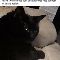 Profile Picture of jamessaunderson69 (@jamessaunderson69) on Tiktok