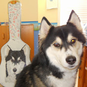 Kyle Liu - Youtube Profile Picture of Kyle Liu (@kyleliu2162) on Youtube