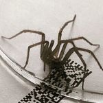 Profile Picture of Christopher Divers (@chris_divers231) on Instagram